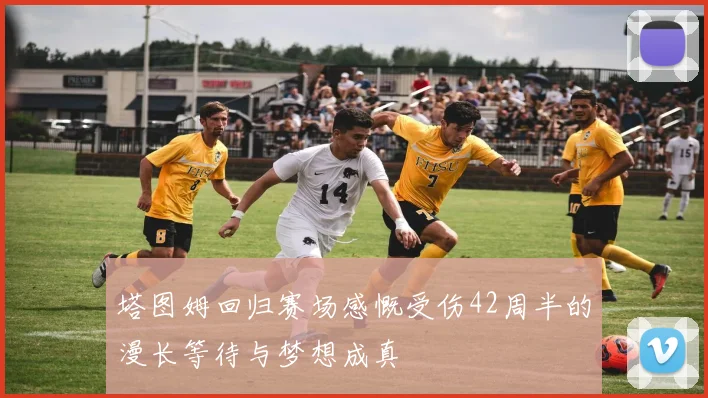 塔图姆回归赛场感慨受伤42周半的漫长等待与梦想成真