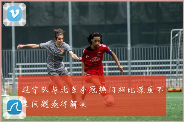 辽宁队与北京夺冠热门相比深度不足问题亟待解决