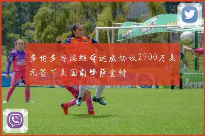 多伦多与诺维奇达成协议2700万美元签下美国前锋萨金特